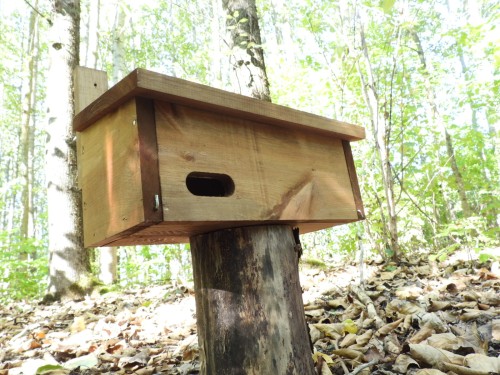 Budka lęgowa dla jerzyka typ J brązowa