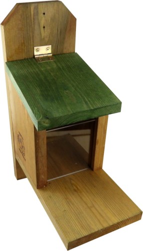 karmnik dla wiewiórek