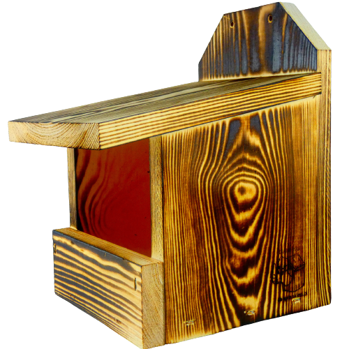 Budka lęgowa dla kosa