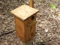 DSCN5268.JPG
