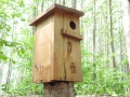 DSCN5273.JPG