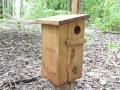 DSCN5270.JPG