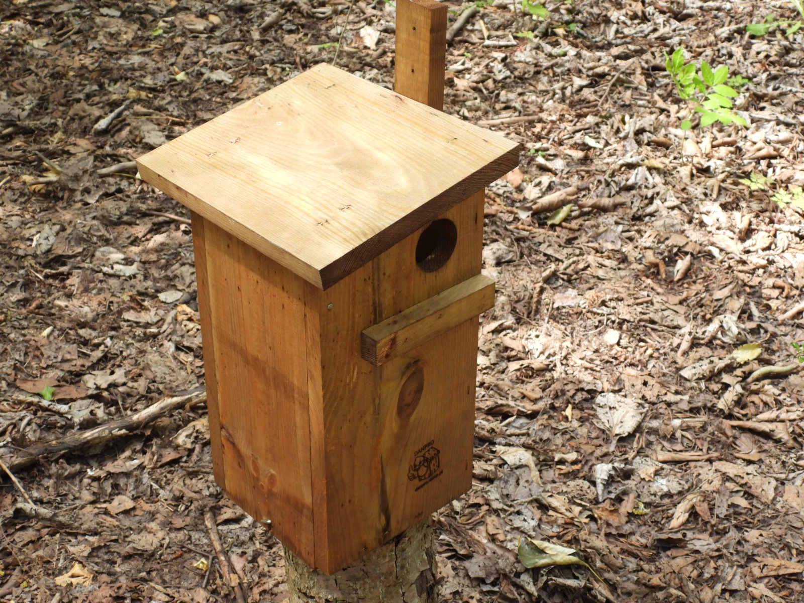Budka dla wiewiórki brązowa
