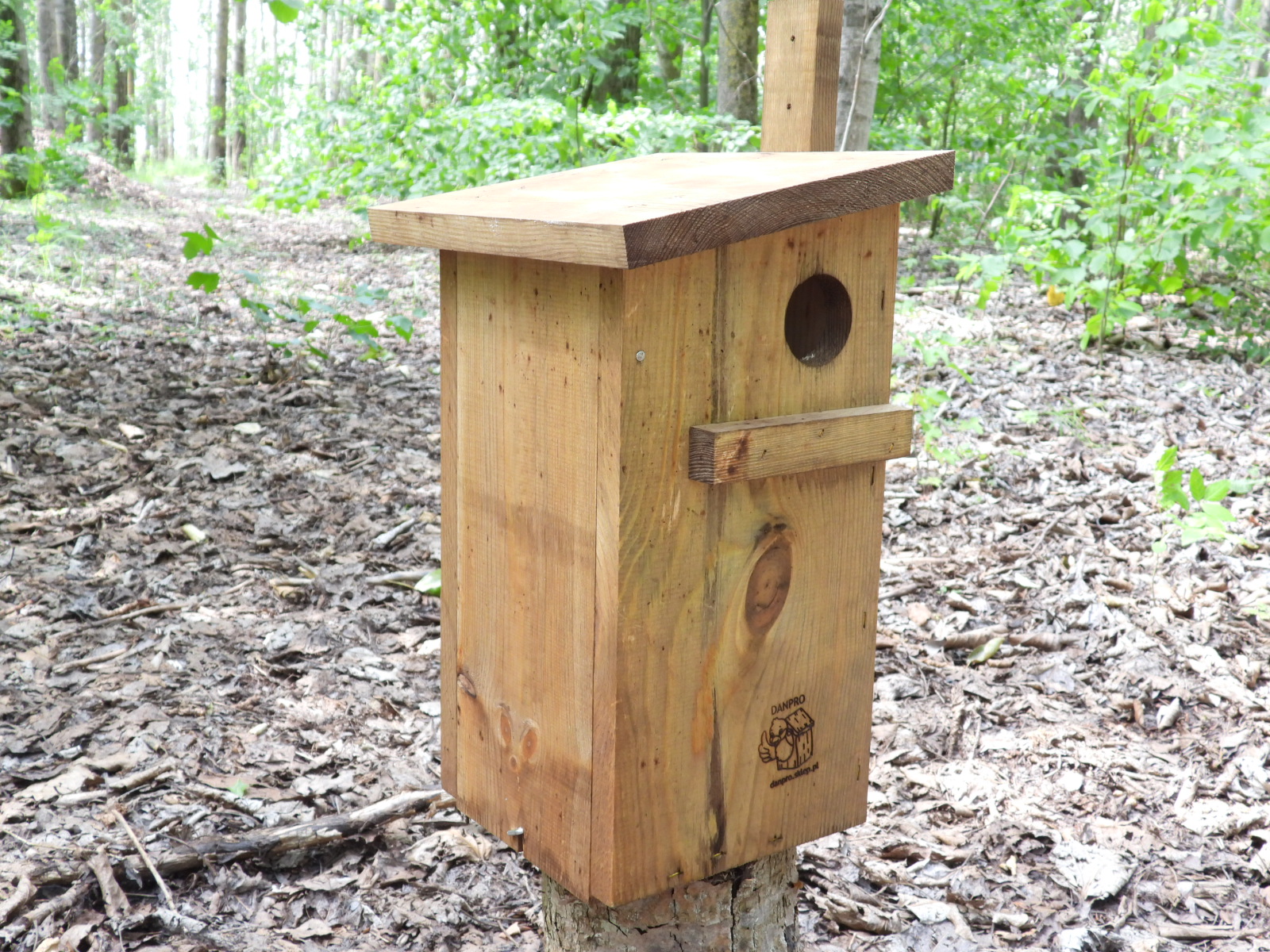 Budka dla wiewiórki brązowa
