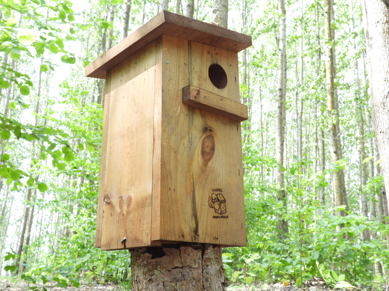 Budka dla wiewiórki brązowa