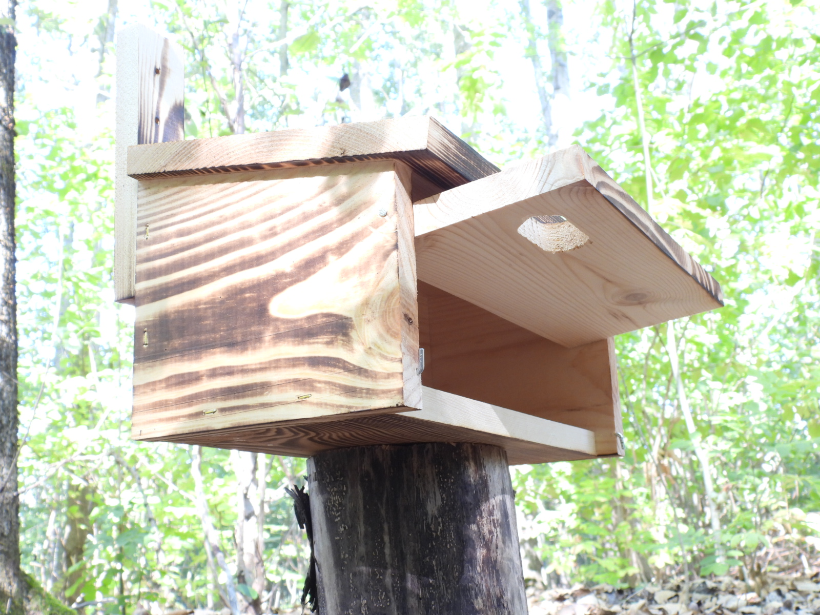 budka lęgowa dla jerzyka typ J