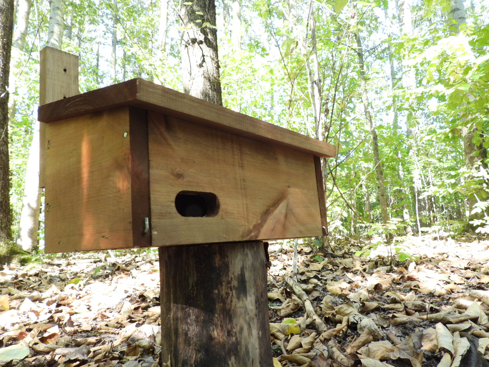 Budka lęgowa dla jerzyka typ J